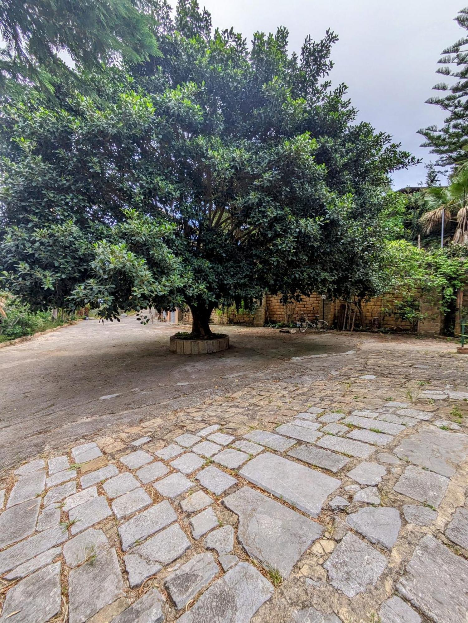 Apartamento Terra Mia Cefalú Exterior foto